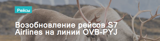 14281?v=5399188317103269