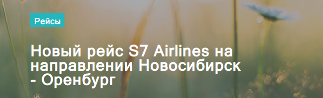 14383?v=2604324723018813