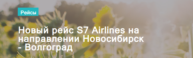 14386?v=4117412181718037